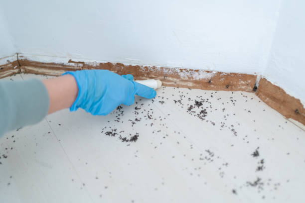 Best Exterminator Services  in Holland, TX